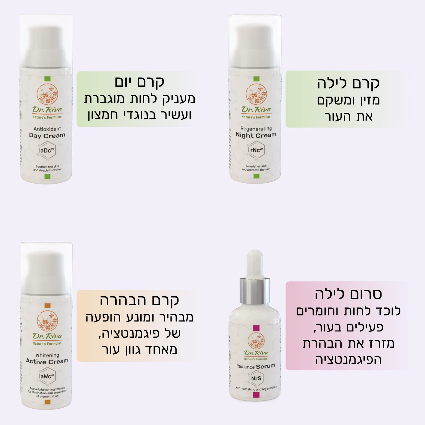 תמונה ממוזערת 2